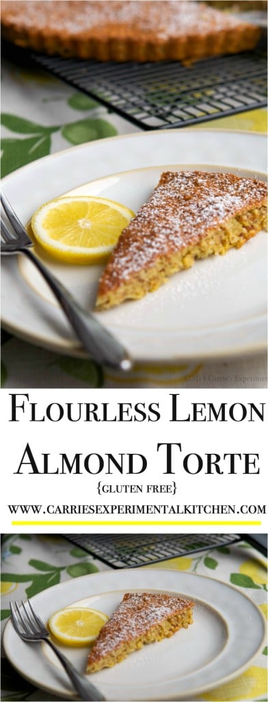 Flourless Lemon Almond Torte