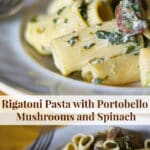 A plate of food with a fork, with Rigatoni and Mushroom