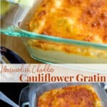 Vegetable casseroles like this Horseradish Cheddar Cauliflower Gratin make a tasty side dish with a little extra added spicy flavor.