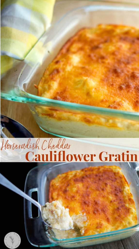 Horseradish Cheddar Cauliflower Gratin