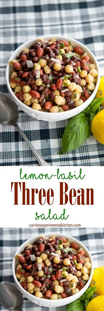 Lemon-Basil Three Bean Salad with spoon