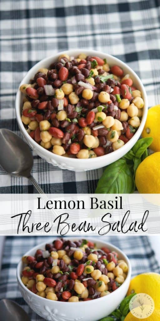 This heart healthy three bean salad made with black beans, kidney beans and chick peas is packed with refreshingly light flavors of lemon and basil.