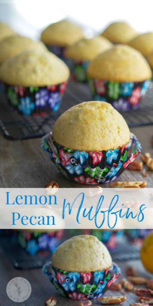 Eat these Lemon Pecan Muffins for breakfast or afternoon snack. They're deliciously light with a hint of lemon flavor. Try them yourself!