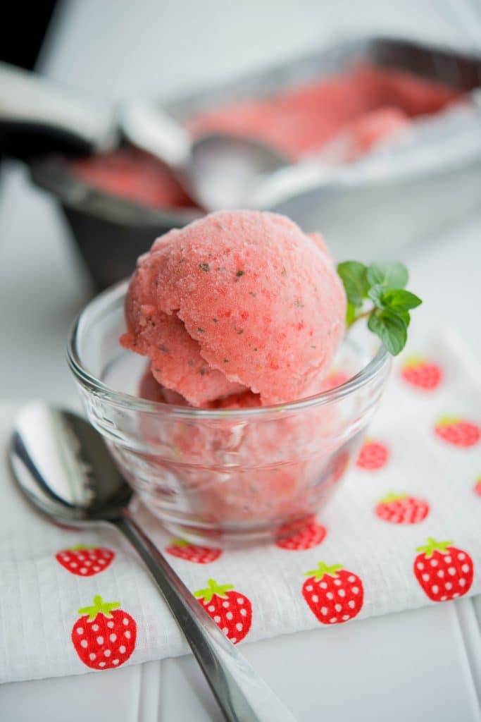 Strawberry Chocolate Mint Sorbet