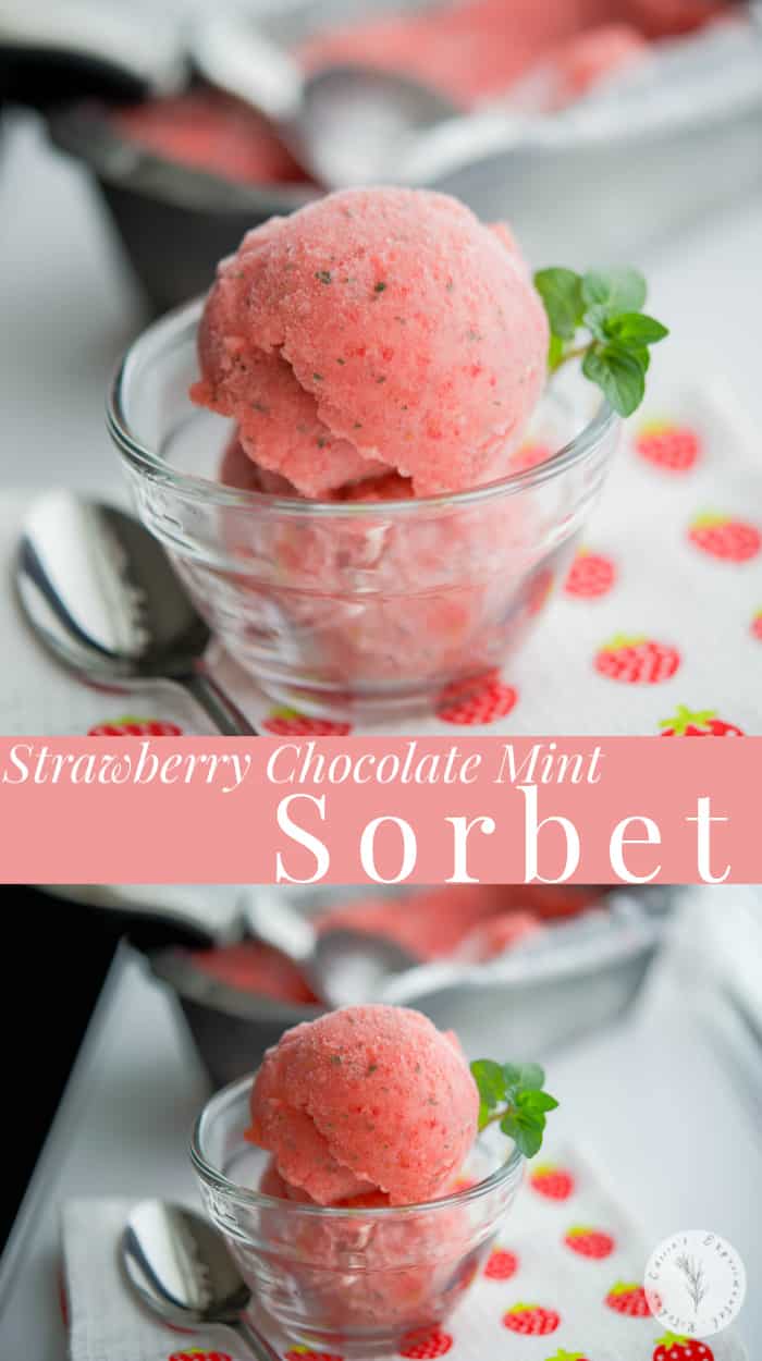 A dish of Strawberry Chocolate Mint Sorbet 