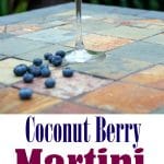 Coconut Berry Martini collage