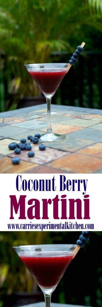 Coconut Berry Martini collage