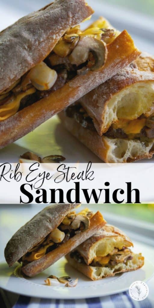 Tender beef rib eye steak sliced thin; then topped with sautéed mushrooms, onions and melted cheese on toasted Ciabatta rolls. 