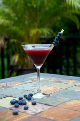 Coconut Berry Martini made with coconut rum, raspberry liquor and Chuck Blueberry cocktail juice.