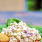 Waldorf Chicken Salad made with boneless chicken breasts, celery, apples and chopped walnuts in a light dressing. 