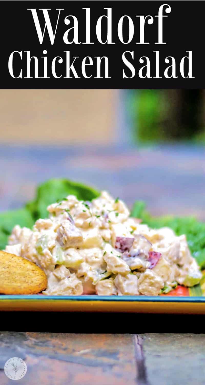 Waldorf Chicken Salad made with boneless chicken breasts, celery, apples and chopped walnuts in a light dressing. 