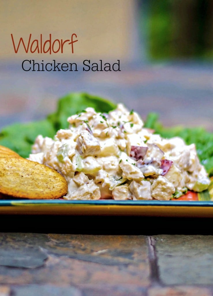 Waldorf Chicken Salad made with boneless chicken breasts, celery, apples and walnuts with a light, honey yogurt dressing. 