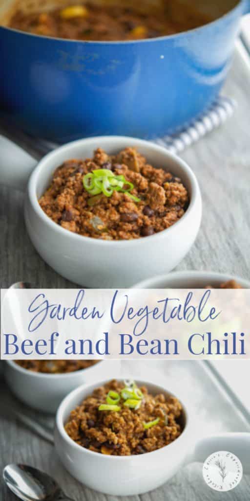 This hearty Garden Vegetable Beef and Bean Chili is cooked slowly with zucchini, yellow squash, tomatoes, extra lean beef and black beans.