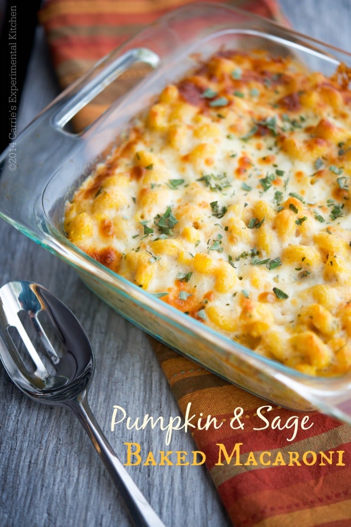 This Pumpkin & Sage Baked Macaroni screams Fall and makes a tasty, quick weeknight meal obar as a starter for your holiday gatherings. 