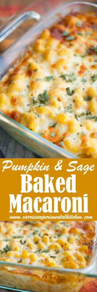 This Pumpkin & Sage Baked Macaroni is perfect any time of the year, but would make a lovely addition to your holiday get togethers. 