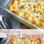 This Pumpkin & Sage Baked Macaroni screams Fall and makes a tasty, quick weeknight meal or as a starter for your holiday gatherings.