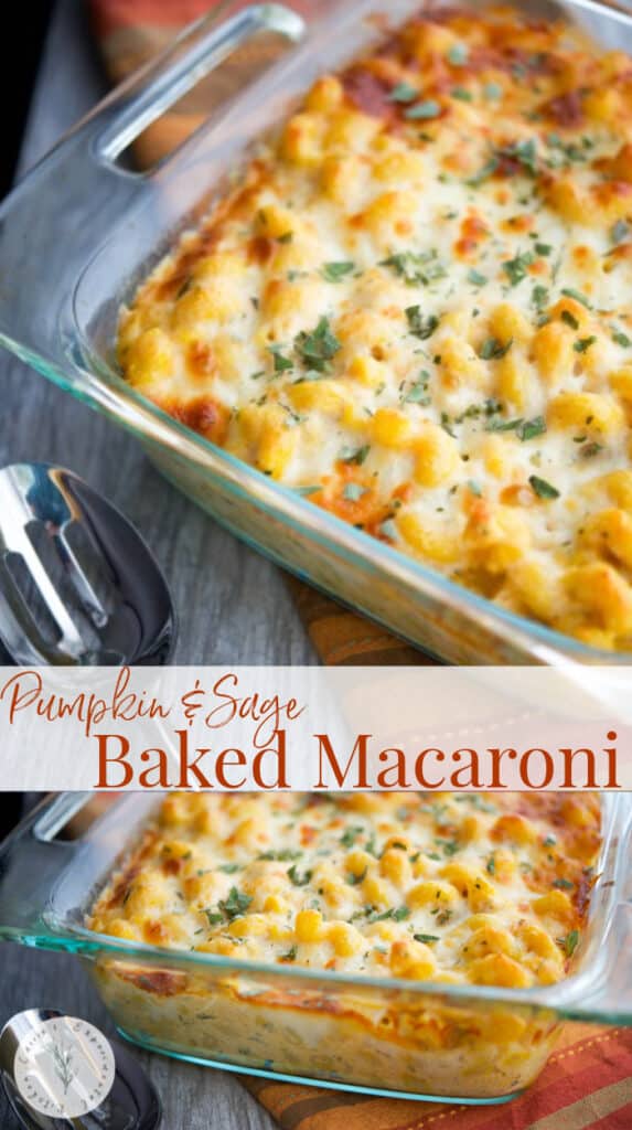 This Pumpkin & Sage Baked Macaroni screams Fall and makes a tasty, quick weeknight meal or as a starter for your holiday gatherings.