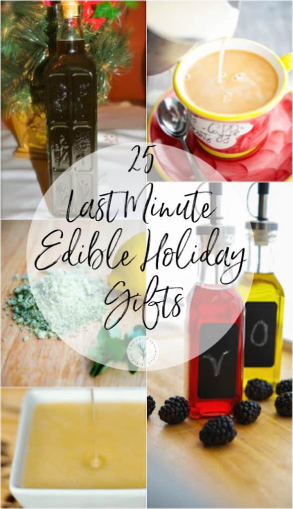 Going to a holiday party and need a gift? Choose from one of these 25 last minute edible holiday gifts that sure to please anyone.