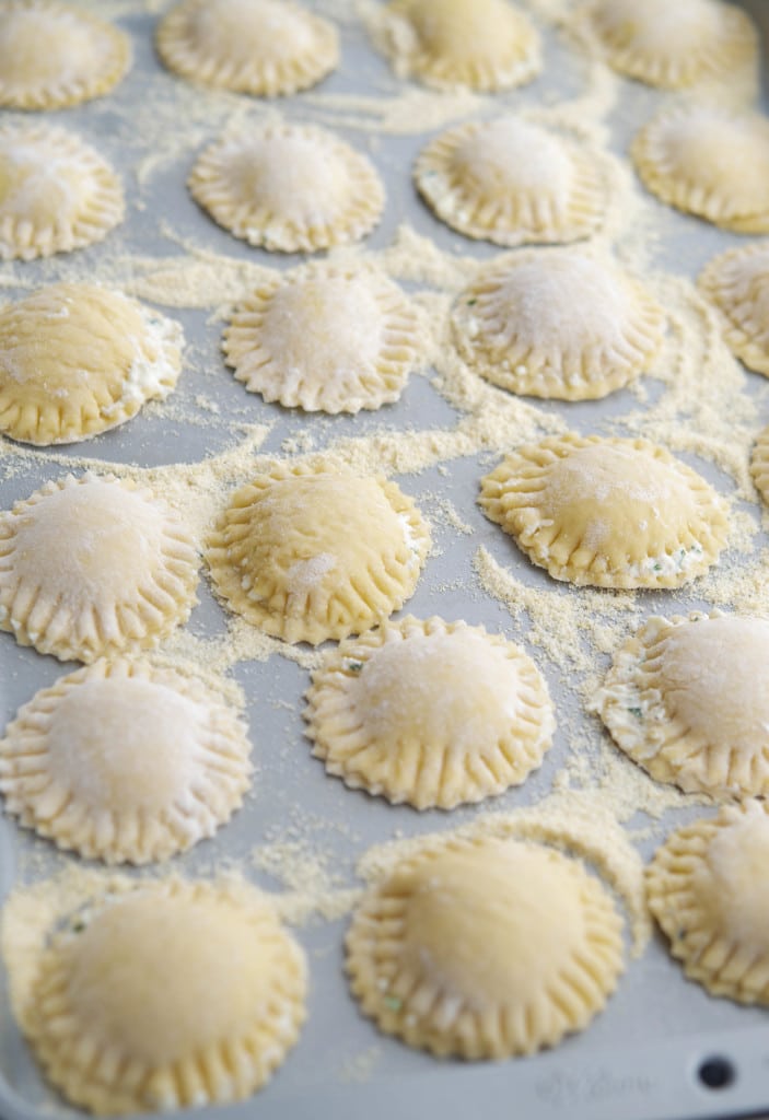 Homemade ravioli before cooking lined up in rows. 