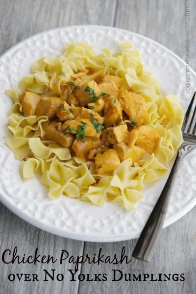 Chicken Paprikash over egg noodles on a white plate.