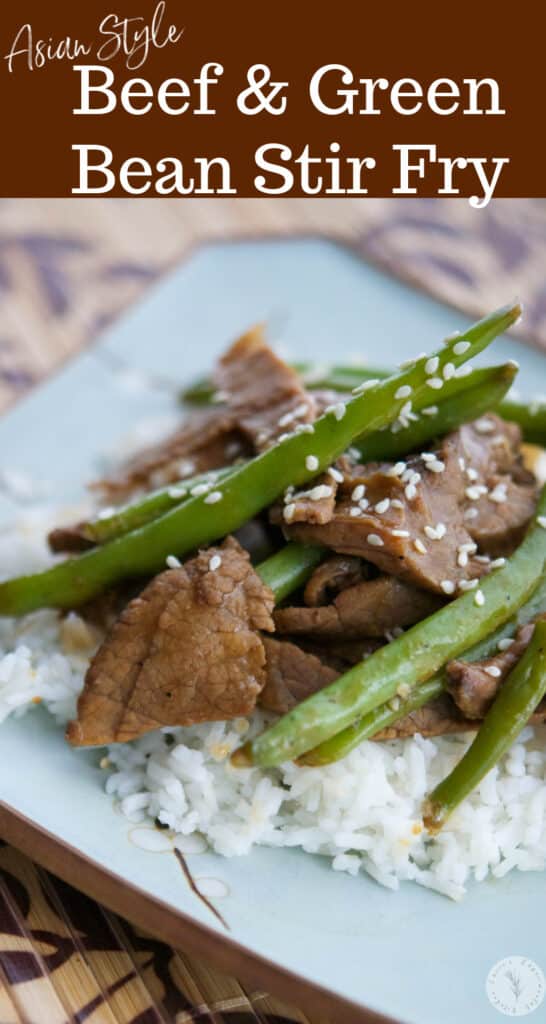 Utilize leftovers to make a new weeknight meal with this quick and easyAsian style Beef & Green Bean Stir-Fry. 