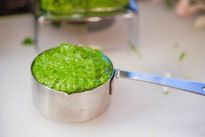 Mixed Herb Pesto