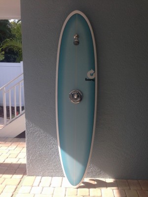 Surfboard shower