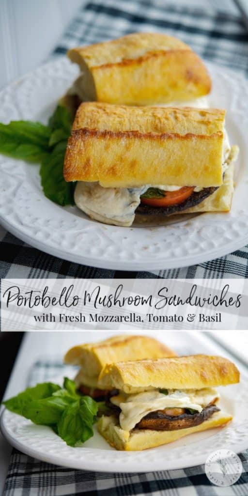 Grilled portobello mushroom topped with fresh mozzarella, tomato and basil on top of crusty Italian bread; then drizzled with aged balsamic vinegar.