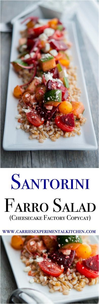 Satorini Farro Salad (The Cheesecake Factory Copycat) made with farro, beets, cucumbers, tomatoes, red onion and Feta cheese in a balsamic vinaigrette is filling with a depth of flavors. #salad #farro #beets #copycatrecipe