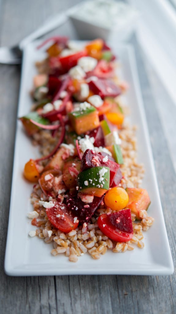 Closeup of Santorini Farro Salad