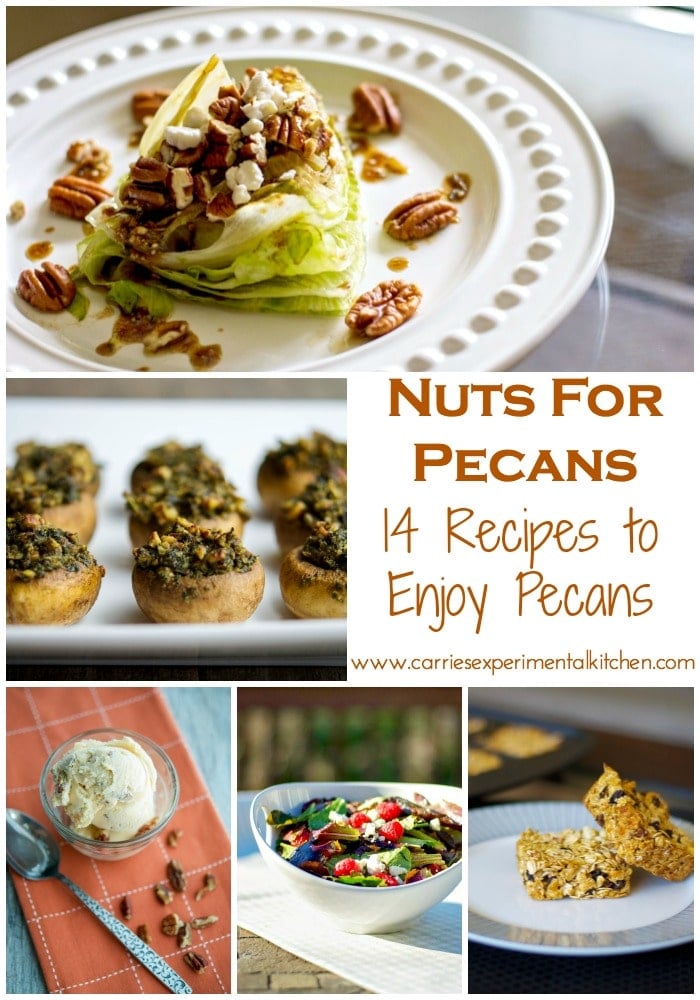 A bunch of different types of pecan recipe photos in a collage. 