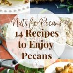 Every year in April we celebrate National Pecan Day. Here are 14 of my favorite pecan recipes to commemorate one of my favorite nuts. 