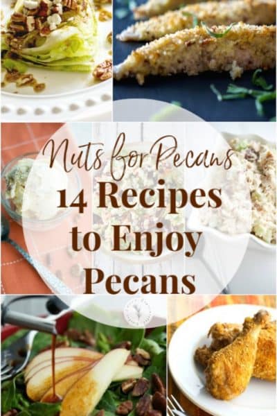 Every year in April we celebrate National Pecan Day. Here are 14 of my favorite pecan recipes to commemorate one of my favorite nuts. 