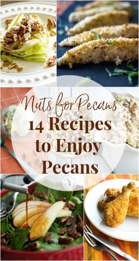 Every year in April we celebrate National Pecan Day. Here are 14 of my favorite pecan recipes to commemorate one of my favorite nuts. 