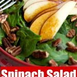 Spinach Salad with Apples and Pecans in an Apple Balsamic Vinaigrette collage