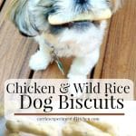 Dogs are part of the family too, so why not treat them to these special homemade Chicken & Wild Rice Dog Biscuits.