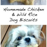 Dogs are part of the family too, so why not treat them to these special homemade Chicken & Wild Rice Dog Biscuits.