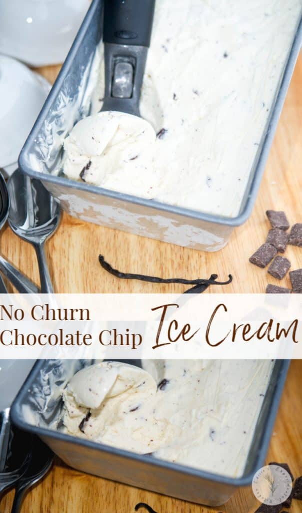 Make deliciously creamy homemade ice cream with a few simple ingredients at home with this No Churn Chocolate Chip Ice Cream.