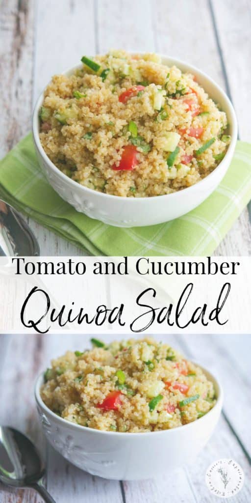 This quinoa salad using fresh garden tomatoes and cucumbers in a white balsamic vinaigrette is light and refreshing on a hot summer day.