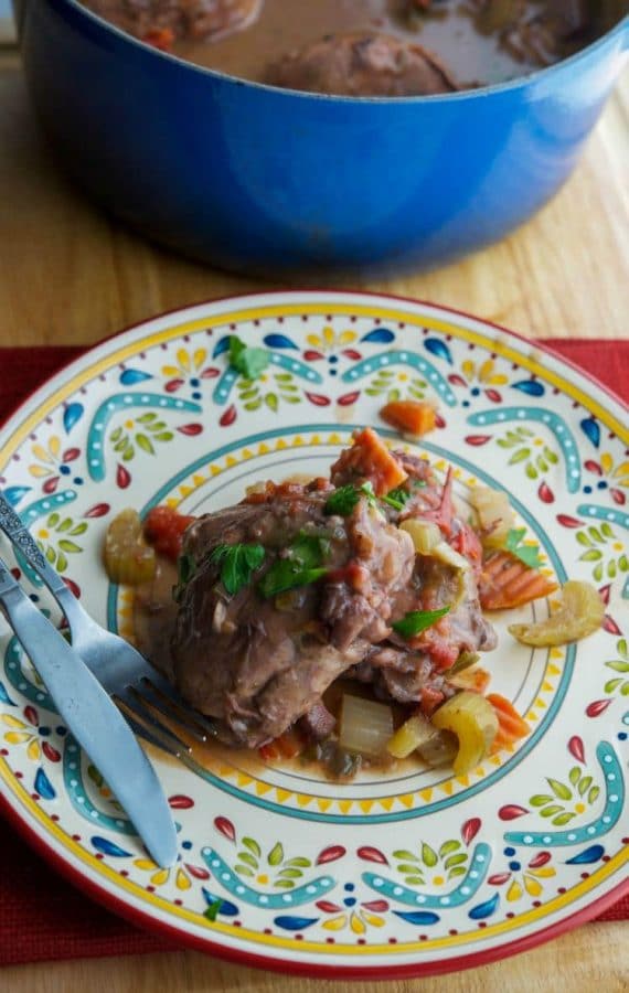 Chicken.Contadina on a colorful plate.