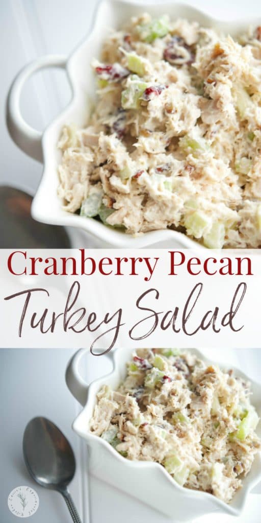 Utilize leftover roasted turkey by making this Cranberry Pecan Turkey Salad using sweet dried cranberries and rich, buttery pecans. 