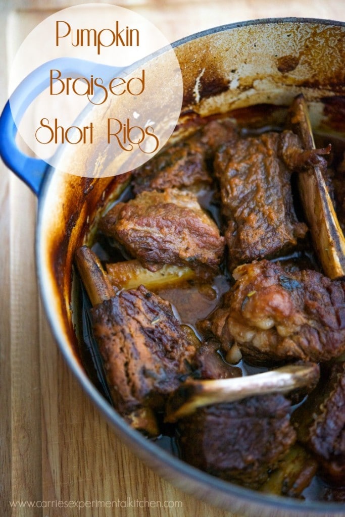 Pumpkin Braised Short Ribs | CarriesExperimentalKitchen.com Beef short ribs braised in pumpkin, garlic and sage until moist and tender. 