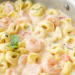 Celebrate Christmas Eve the Italian way with these 20 delicious seafood recipes for Seafood Frenzy Friday: Christmas Eve Edition.