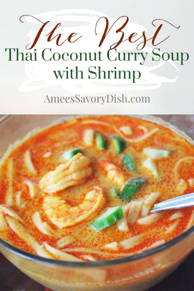 Thai Coconut Curry Soup