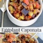 Sweet and sour Eggplant Caponata makes a tasty appetizer on pizza dippers, toasted Italian bread or placed on top of grilled chicken or fish. 