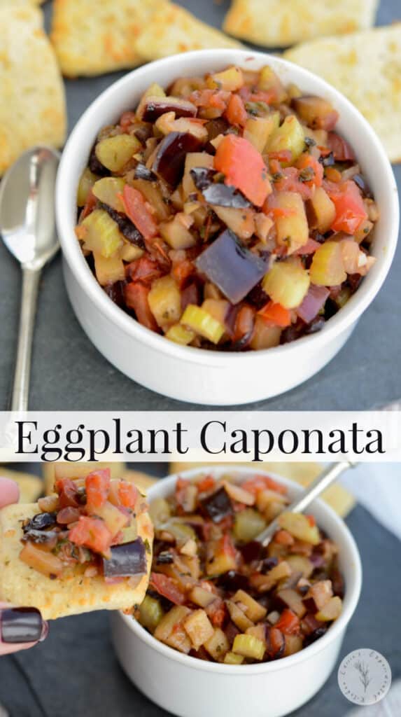 Sweet and sour Eggplant Caponata makes a tasty appetizer on pizza dippers, toasted Italian bread or placed on top of grilled chicken or fish. 