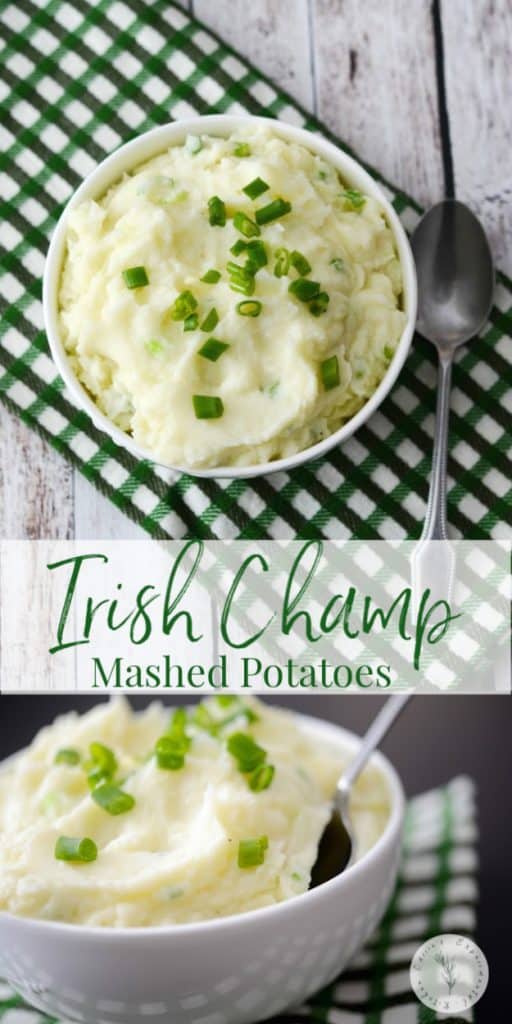 Mashed potatoes with scallions on top