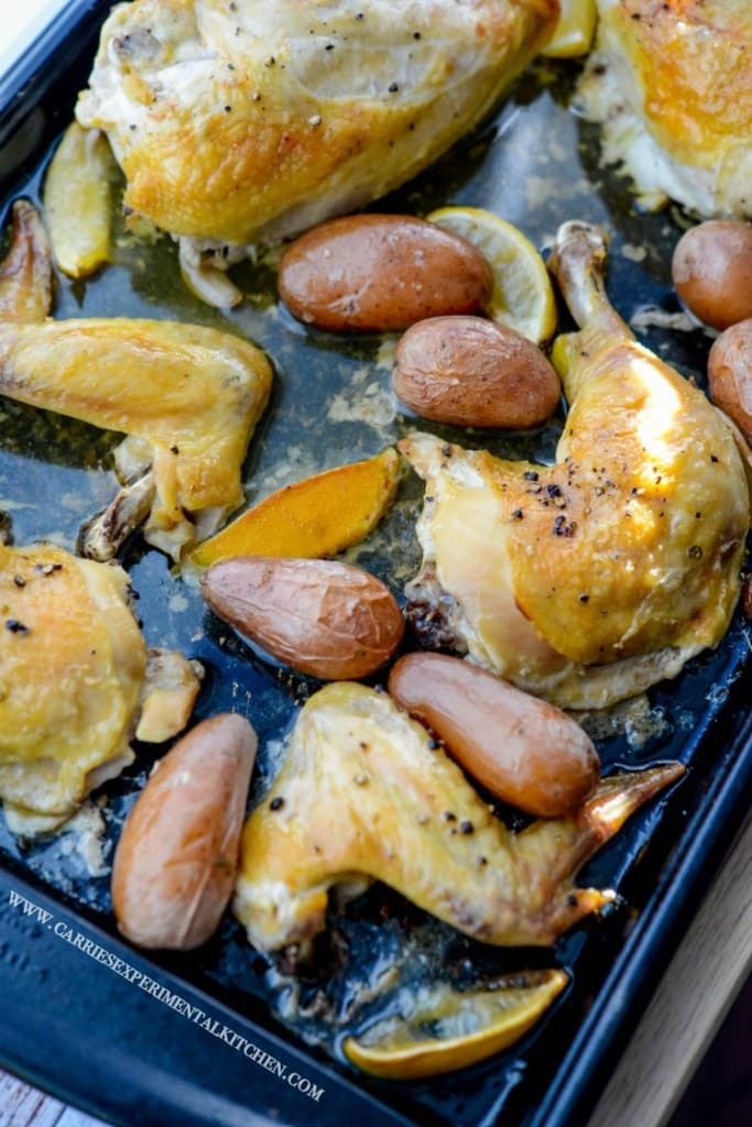 Chicken, garlic, lemon, and potatoes roasted on a sheet pan.