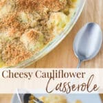 Cheesy Cauliflower Casserole made with steamed cauliflower combined with a sharp cheddar cheese sauce; then topped with buttery Italian breadcrumbs.
