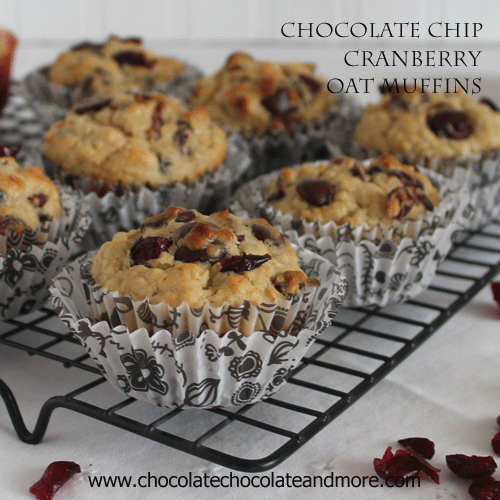 Chocolate Chip Cranberry Oat Muffins